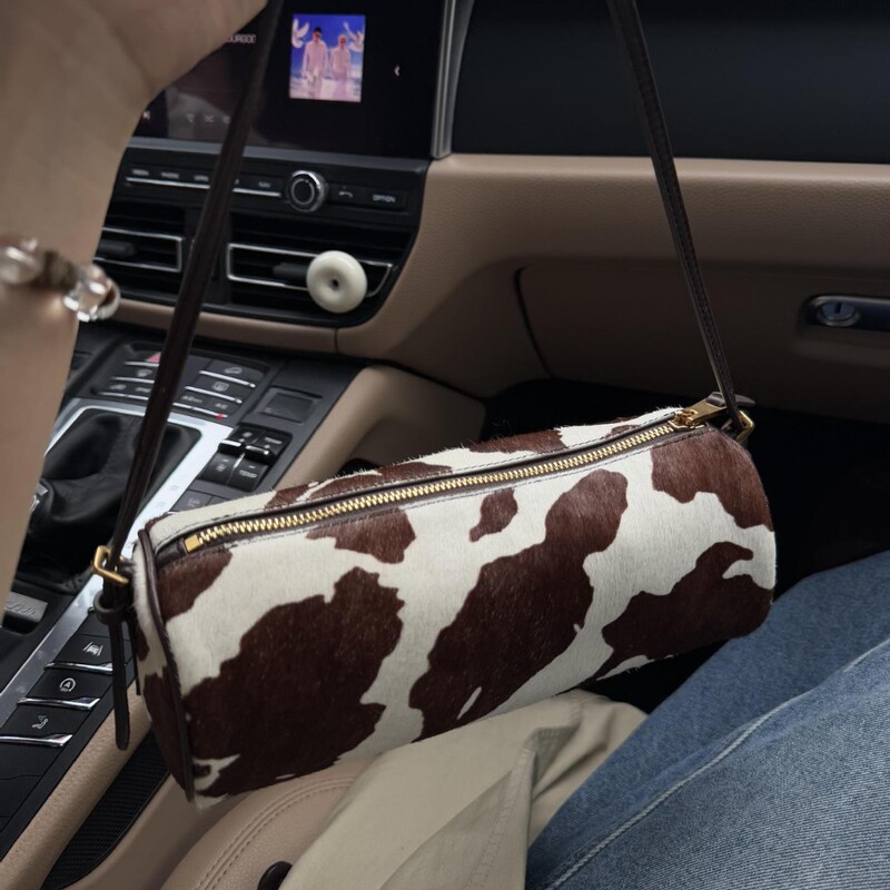 2026 New Model High-End Genuine Leather Horsehair Cow Pattern Pen Holder Bag, Fashionable Versatile Shoulder Crossbody Handbag 2026 New Model High-End Genuine Leather Horsehair Cow Pattern Pen Holder Bag, Fashionable Versatile Shoulder Crossbody Handbag