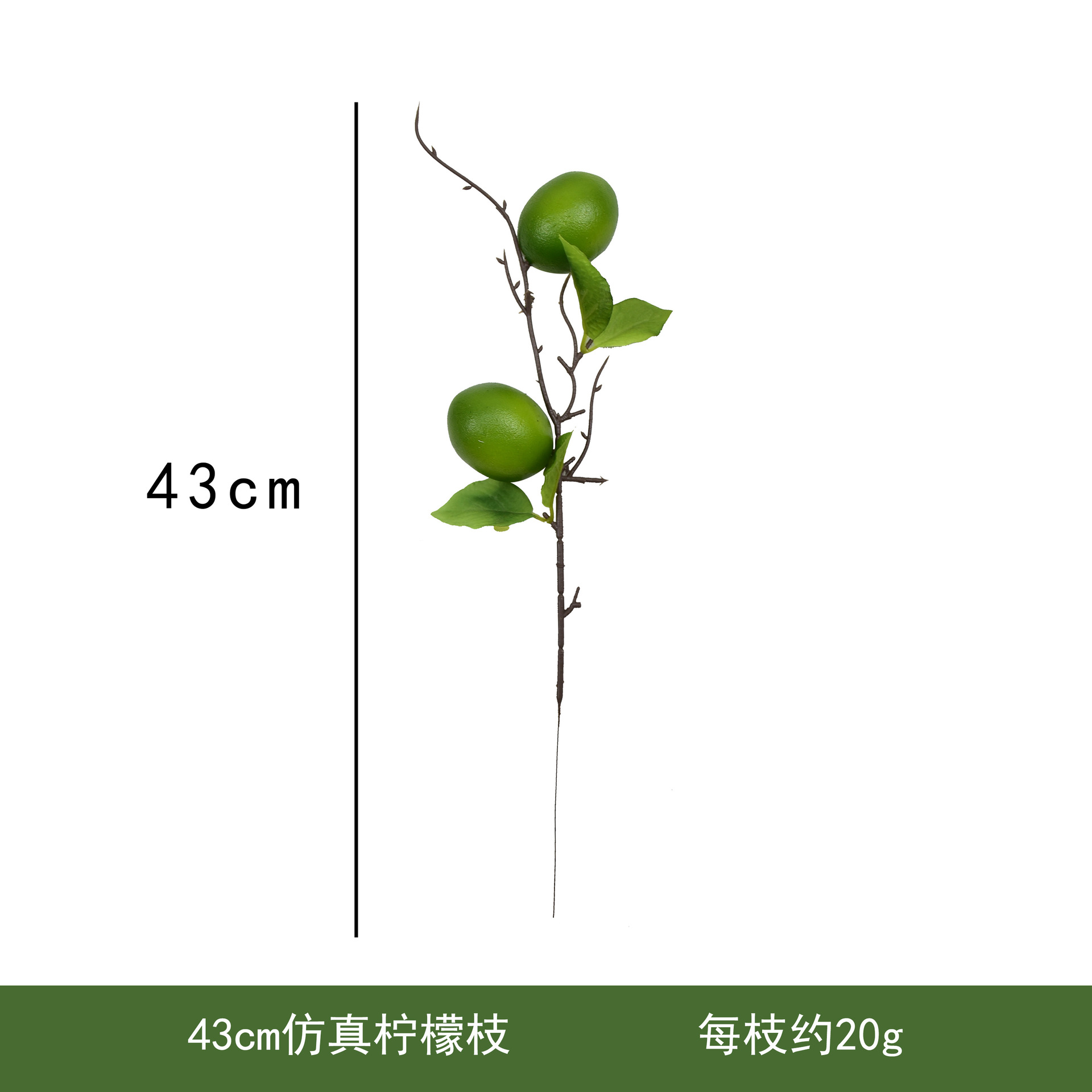 양쪽 끝이 녹색 레몬