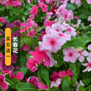 �L�����N�����մ����ѻ�ɫͥԺ�̨�����ͺ��׻�������_������