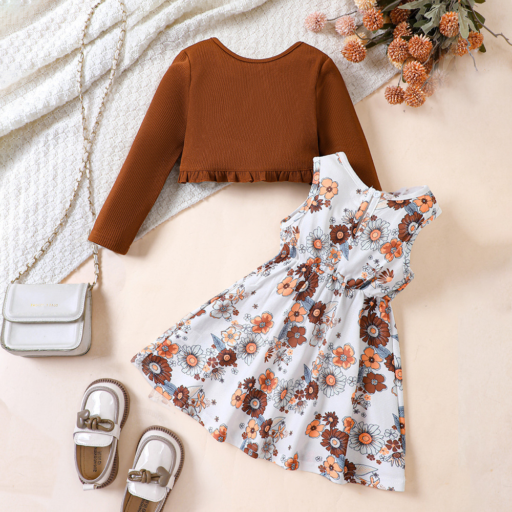Vêtements pour enfants EW Nouveau produit pour filles Printemps et automne Robe imprimée Ensemble cardigan tricoté TZ828-C_voghion.com