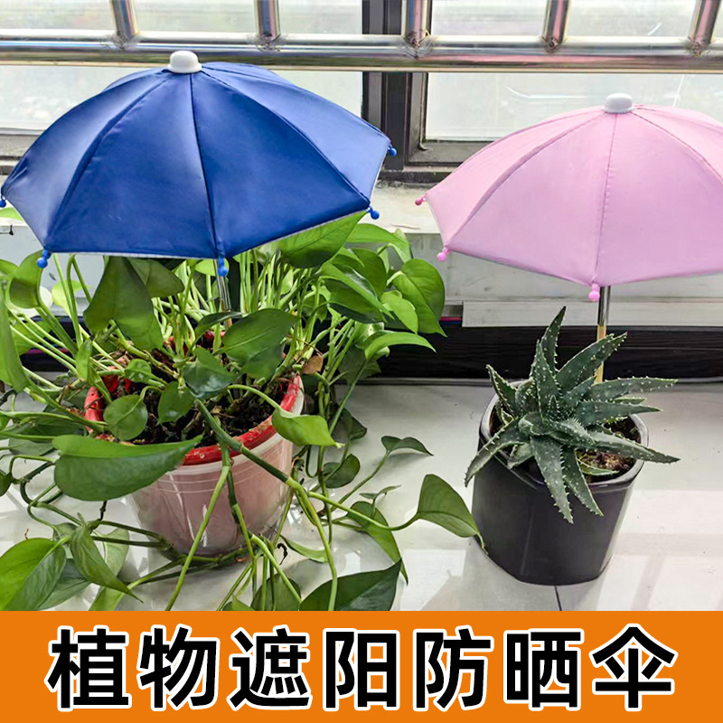 New Flower Pot Sunshade Cover, Plant and Flower Sun Protection Umbrella, Succulent Bonsai Sunshade Umbrella, Outdoor Potted Plant Protection Umbrella, Custom-Made New Flower Pot Sunshade Cover, Plant and Flower Sun Protection Umbrella, Succulent Bonsai Sunshade Umbrella, Outdoor Potted Plant Protection Umbrella, Custom-Made