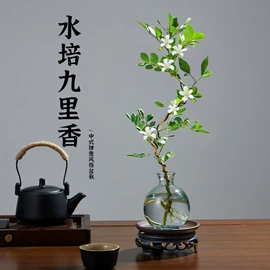 盆栽;其他园林资材;栽培基质