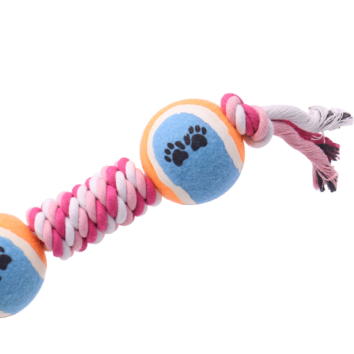 Perro perro mordiendo la cuerda El juguete del perro muerde no está mal