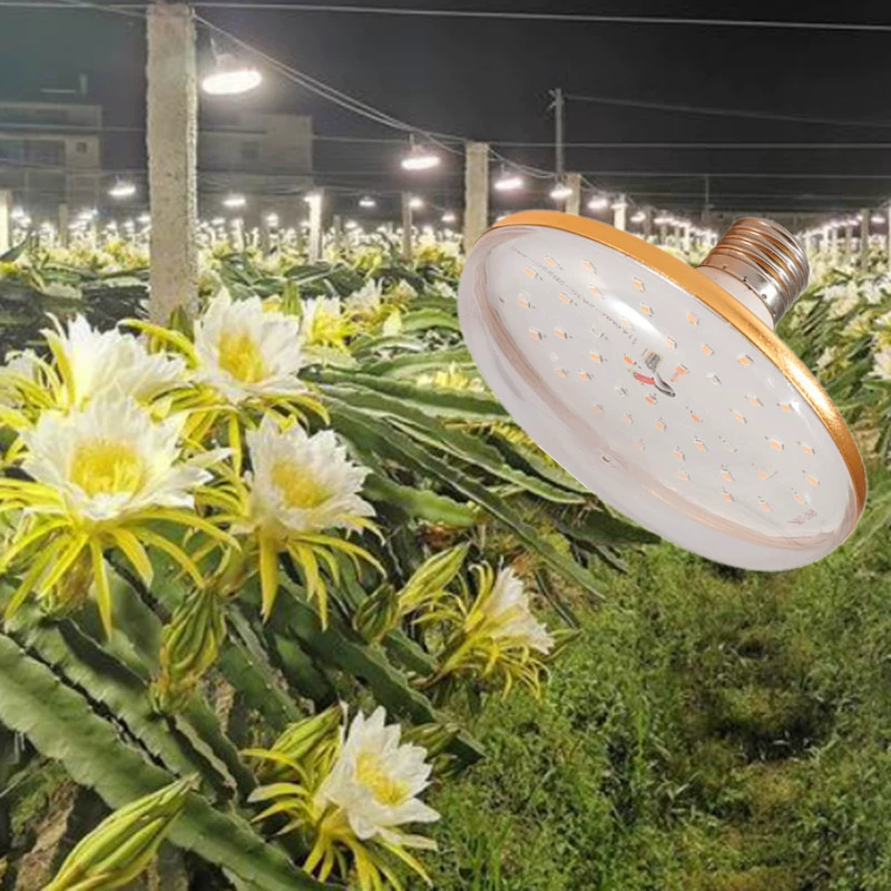 Fill light, strawberry solar-powered, plant lamp, comfortable light spectrum