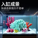 Fish tank simulation coral landscaping package rockery shell fake coral fish tank decoration aquarium shelter house ornaments