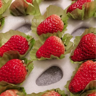 Strawberry Tray Sponge Lining/Strawberry Tray Sponge Lining/Strawberry Tray Sponge Inner Tray/Strawberry Tray Sponge Packaging
