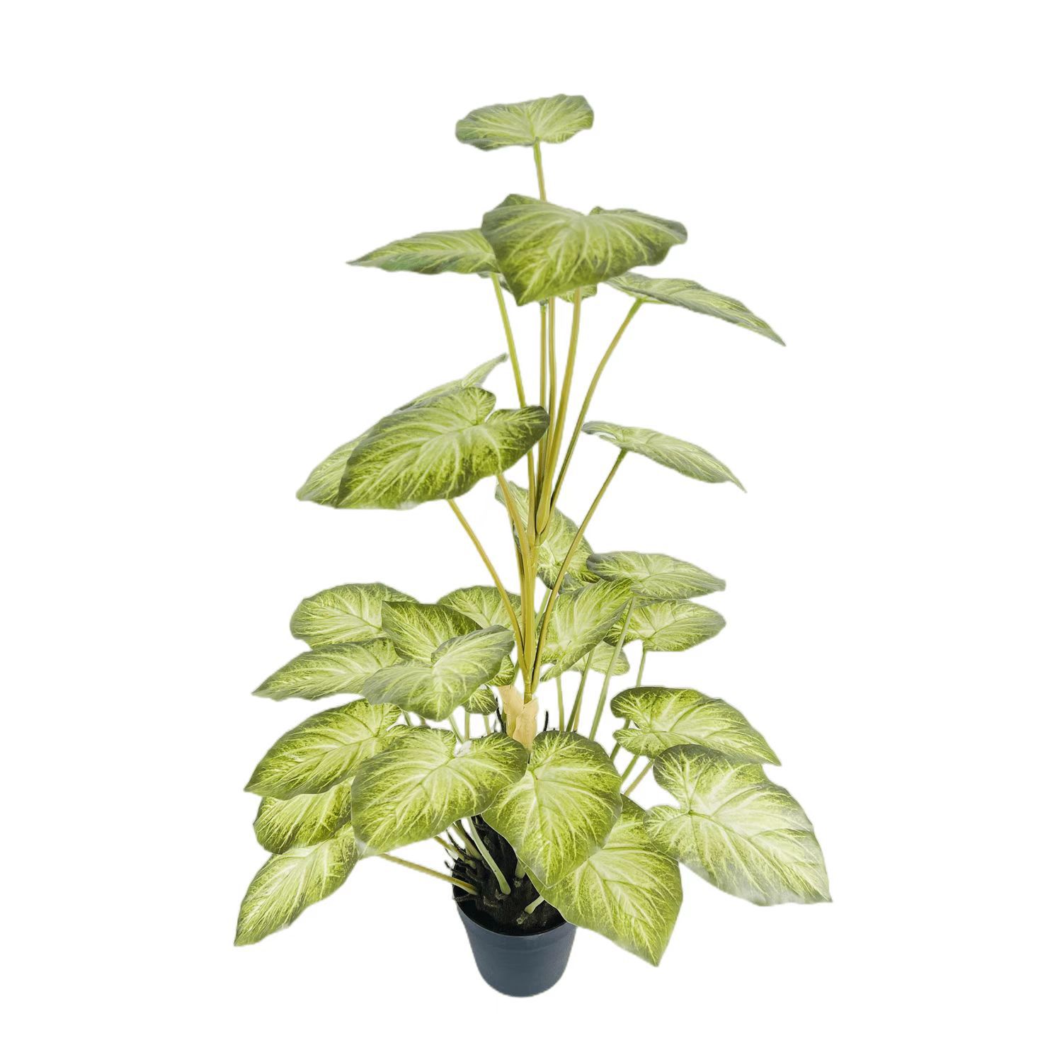 Descuento personalizado planta verde artificial flor artificial tortuga árbol trasero roble árbol de hierro viaje hoja de plátano Banyan Phoenix cola bambú Phoenix cola girasol
