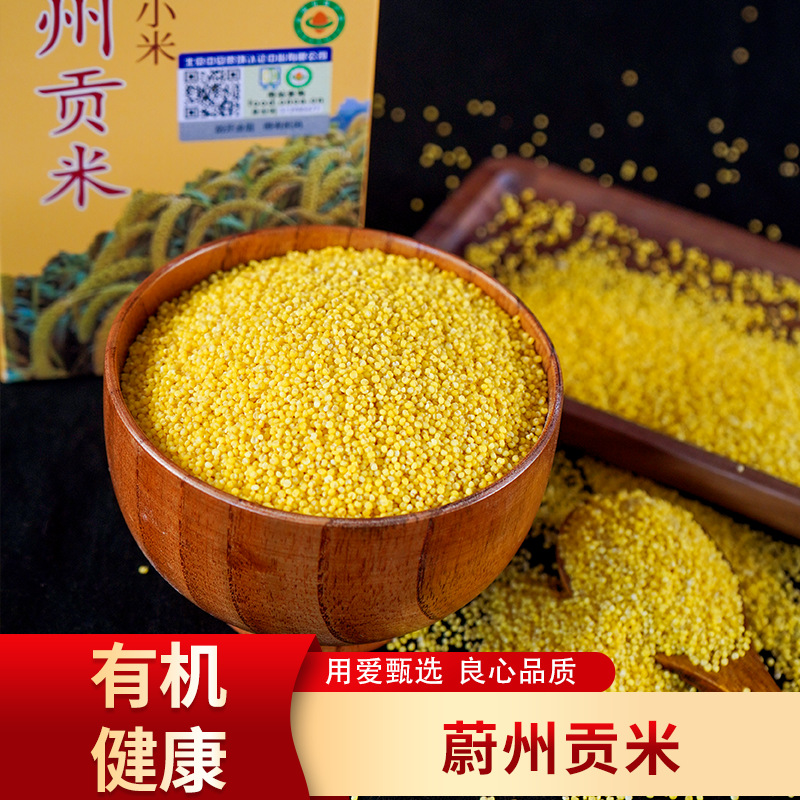 [Brothers from Home] Organic Millet, Soft and Waxy Yellow Millet Porridge, Wholesale Nutritional Multigrain Rice Taste