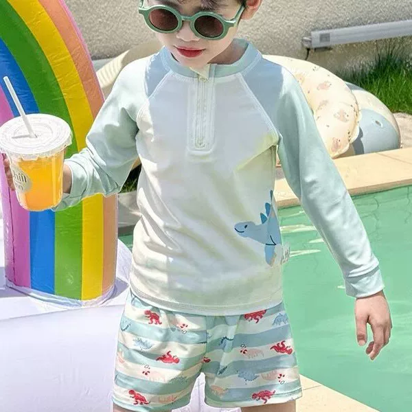 Boys' Two-Piece Swimsuit 2026 Summer New Cartoon Design for Young Children, Quick-Dry Beach Long-Sleeve Swimwear Set for Toddlers
