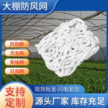 尼龙防护网 大孔压膜绳网挡风大棚网货物种植养殖大棚防风网