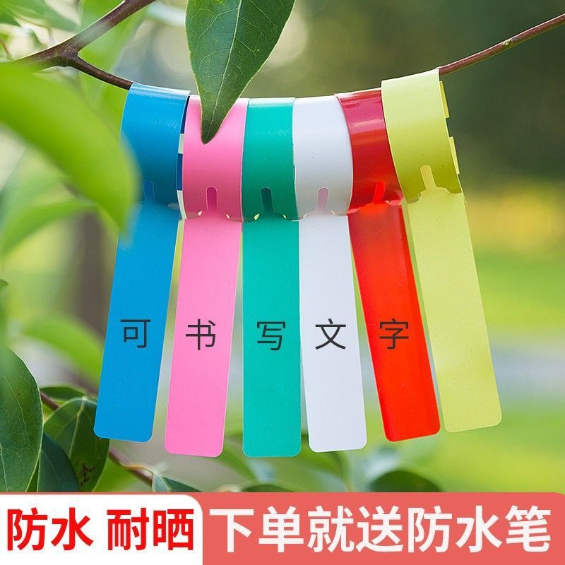 防水PVC环套苗木标签花卉园艺植物果树月季书写记号牌标识牌塑料