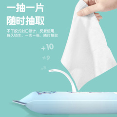 10 pieces pack wet wipes cleaning wet wipes baby ten pieces draw disposable non-woven wet wipes paper small package online store gift 
