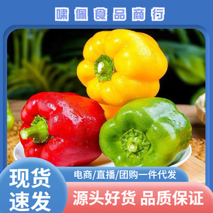 ɽ�|���r�����Բ�����ʽ��A���t���S������ˮ����һ�����l