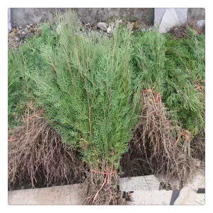 ���ع����Ȱذ�ľ���С�繤�����·�G�����������l