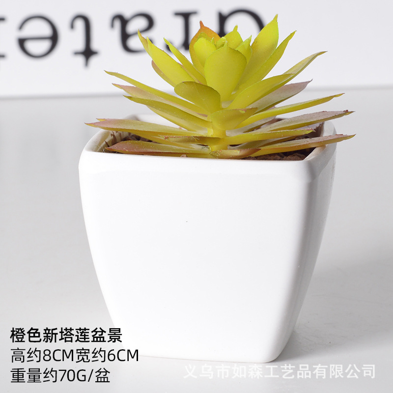 Simulación de plástico carnoso bonsai flor falsa combinación oficina interior escritorio plantas verdes pequeños adornos plantas artificiales al por mayor image 13