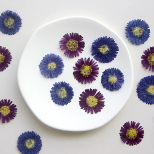 Dutch Chrysanthemum Flower Dried Flower Embossed Real Flower Plant Specimen Dropping Glue Jewelry Flower Photo Frame Bookmark Diy Material Bag