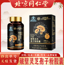 北京同仁堂破壁灵芝孢子粉胶囊 内廷上用孢子粉增强免疫力无痕发