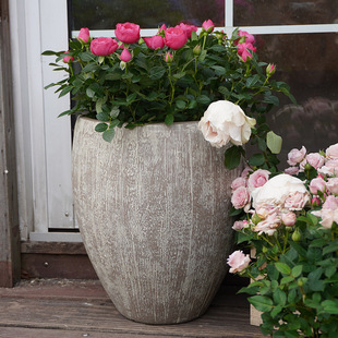 ��Խ�β����Pɪ�͹�ˮ�����ϴ�̖�߿�ˮ��ֲ��˯ɏ��¹����ϻ���