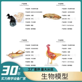 教学演示用品;教学仪器;生物教学器材