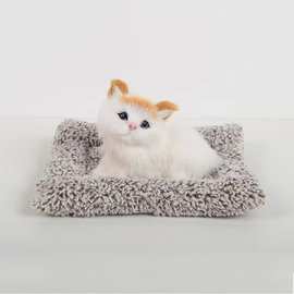 竹炭小猫摆件仿真毛绒动物汽车摆件除甲醛家用车载活性炭装饰摆件