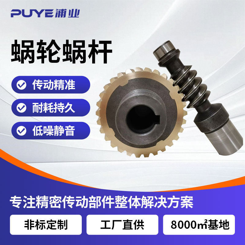Dongguan Manufacturer Cnc Worm Gear, Copper Worm Gear Processing, Custom Reducer Parts