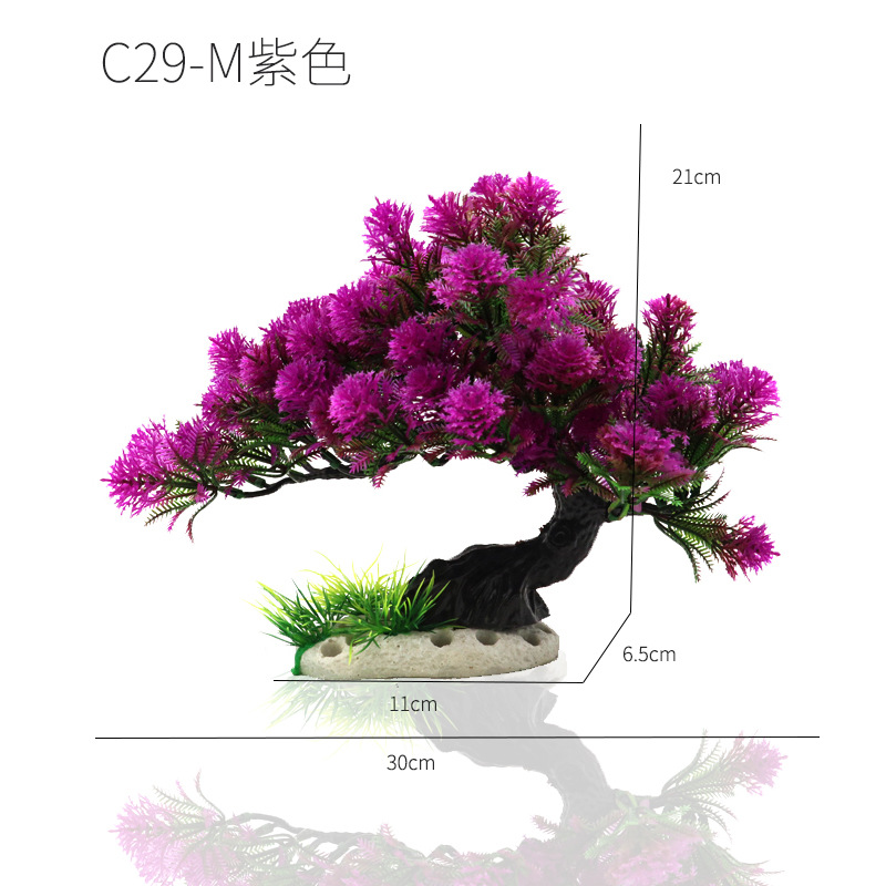 C29-M紫色