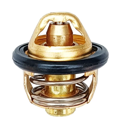 Beach Thermostat, Thermostat