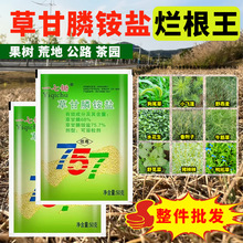 757ݸ@}ݸrșs݄ݠو@Դ^l̳