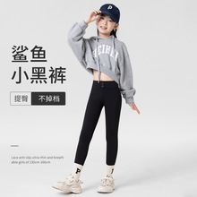 中大童加绒鲨鱼裤羊毛蚕丝小黑裤秋冬外穿裤口袋儿童打底裤瑜伽裤