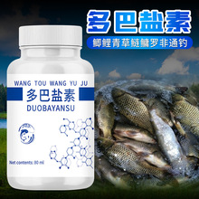 ����}����Ұឺڿ������T�������~�a�~����~�_�w�~��|�IСș
