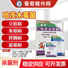 美国拜沃 哈茨木霉菌番茄葡萄灰霉病霜霉病立枯猝倒病杀菌剂农药