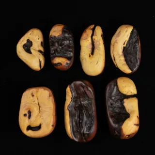 【一物一图】雷击枣木随形手把件带雷击天然形状玉化料坨坨料老料