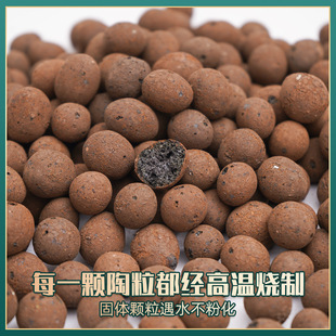 ���������|��������̖�B�����û����l���g��ɫ�����w���������