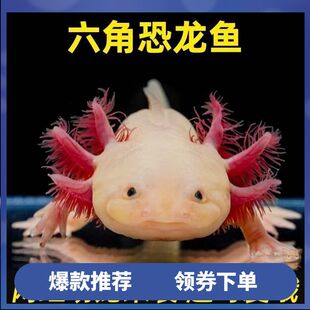 ��ˮˮ�������׻���w�^�p�~���ǿ����~ϔ�W�t�~��������B��ˮ