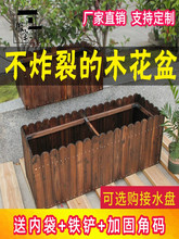 ̼������ľ���仨���L�����̨�N�˷Nֲ��Ͱ����¶̨�M�ό�ľ����