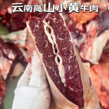 ��Ī���������ϻ�ţ��ţǰ���������ɢ����ţ�ⲿλ��ѡ˳�ᷢ��