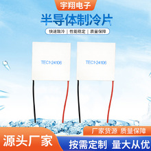 TEC1-24106�뵼�彵����������������Ƭ �뵼������Ƭ �ֻ�����