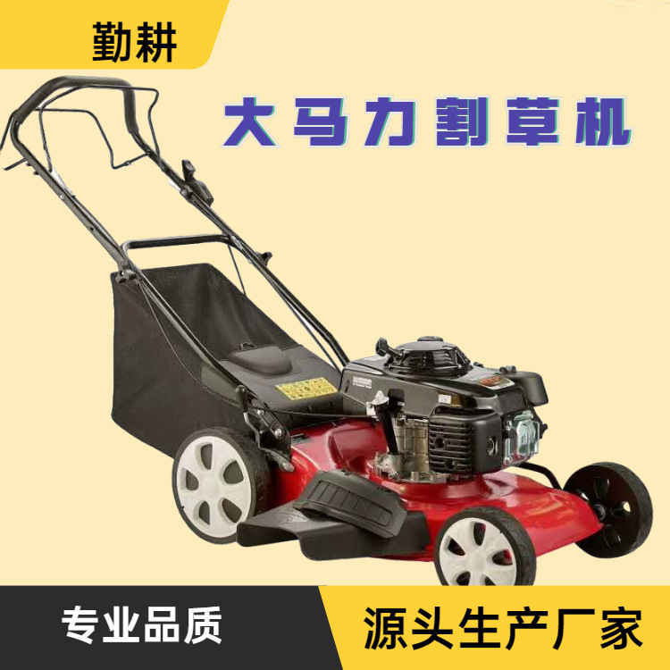 大马力手推剪草机汽油自走割草机高尔夫球场修草机批发现货