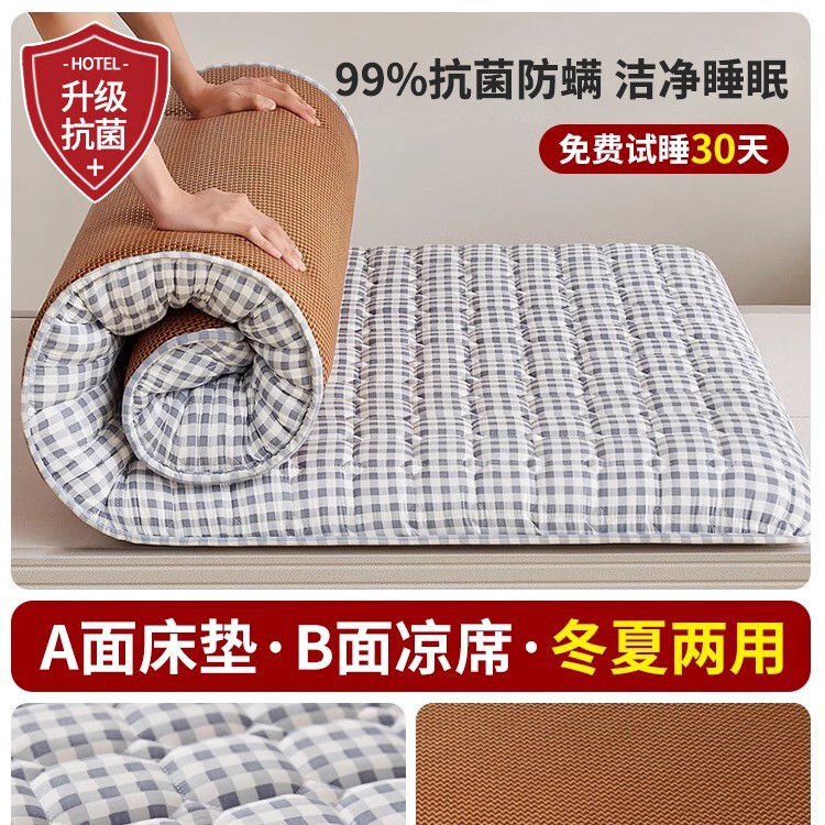 地铺睡垫家用床垫软垫防潮地垫打地铺神器租房专用垫学生宿舍单人|undefined
