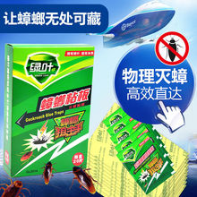 蟑螂药家用物理引诱捕蟑螂贴强力粘蟑螂板纸厨房灭蟑螂粘板帖