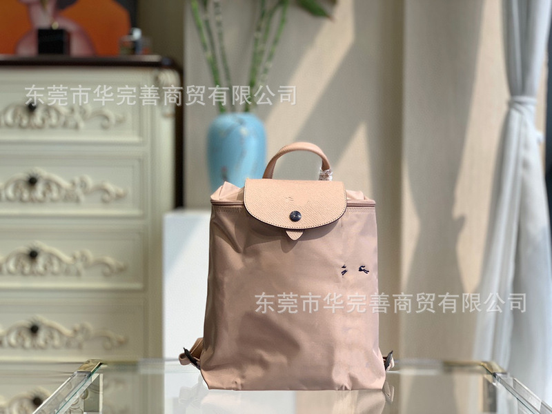莞产跨境骧家双肩包轻便休闲旅行防水背包女式手提书包2025新款|undefined