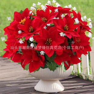 �羳���R�dһƷ�t�ײ軨���滨���⻨�@�T���}�Q�����b����컨