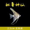 2-3cm Peruvian fairy 5 get 1 free for loss