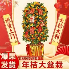 ���ͽ�ۘ����Ԏ����ļ����Ә��辰ֲ���҃ȿ͏d�������Ә���ۘ�