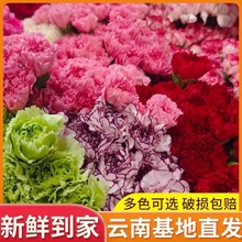 ����ܰ�r�����l����r������ֱ��ĸ�H���û��[���û��[����^�Fُ