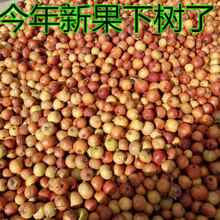 ������Ƥ�P�������ӎ�Ƥ����ـ���������ې�ħ��ʹ�����ԭ��ɢ��