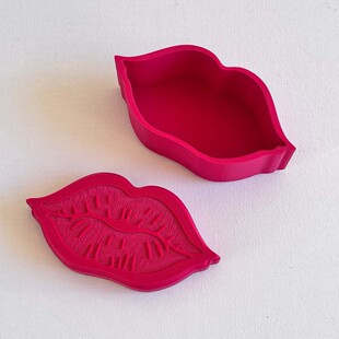 �羳��Ʒ Lip case �촽���ռ{�����坍�๦�ܺ��ӎ��w�ӼҾ���Ʒ