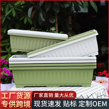 �L�����߲˷Nֲ������̨�N���茣��������ˮ��ݮ�������ϻ���