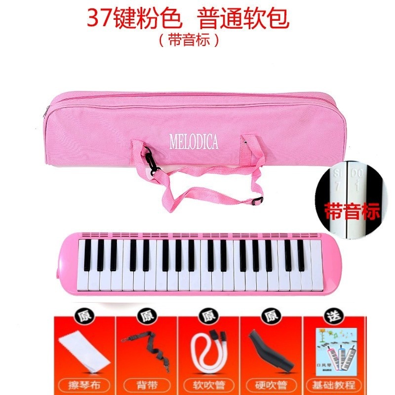 Armónica de 37 agujeros, órgano de boca de 32 teclas para estudiantes y niños, adecuada para presentaciones en el aula de principiantes.