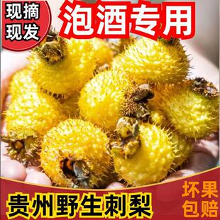新鲜刺梨鲜果5斤泡酒贵州特产野生刺梨维vc水果现摘现发应季刺梨-阿里巴巴